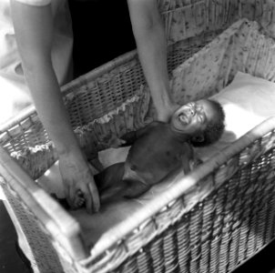 Boslandcreoolbaby in een ledikantje in het Hospitaal 'Prinses Juliana' in Kabels, Bestanddeelnr 252-6024