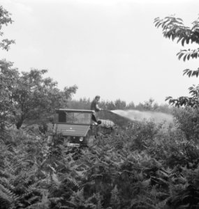 Bosbewerking, arbeiders, sproeiwagens, sproeien, Bestanddeelnr 253-5786