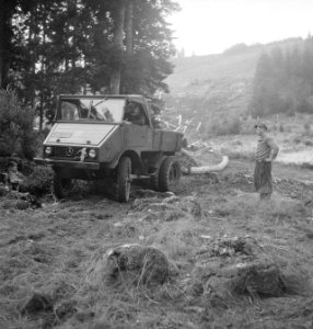Bosbewerking, heuvels, boomstammen, vrachtwagens, Bestanddeelnr 251-9000