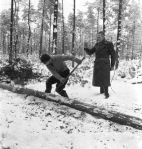 Bosbewerking, arbeiders, werkzaamheden, sneeuw, Bestanddeelnr 251-8360