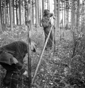 Bosbewerking, arbeiders, palen, gazen, afrasteringen, Bestanddeelnr 251-7945