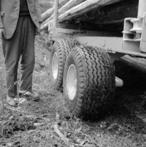 Bosbewerking, boomstammen, aanhangers, wielen, arbeiders, Bestanddeelnr 253-5212