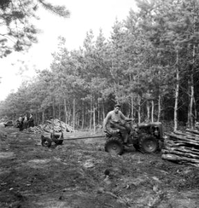 Bosbewerking, landbouwmachines, werktuigen, arbeiders, Tractors, Bestanddeelnr 251-8952