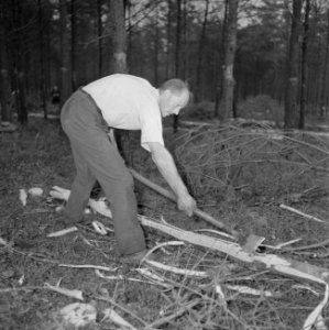 Bosbewerking, arbeiders, bomen, gereedschappen, Bestanddeelnr 251-9121