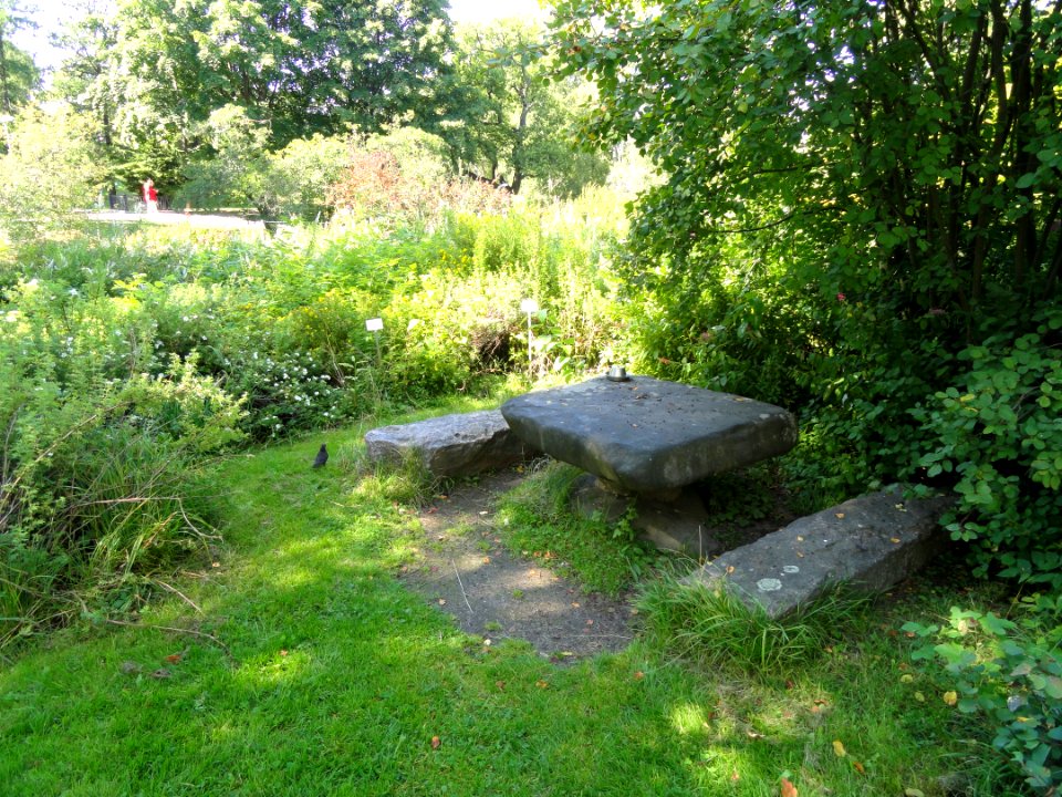 Botanical Garden in Kaisaniemi - DSC03452