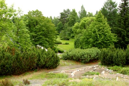 Botanical Gardens of Oulu University 20130623 04