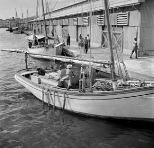 Boten aan de kade in Willemstad op Curaçao, Bestanddeelnr 252-7267