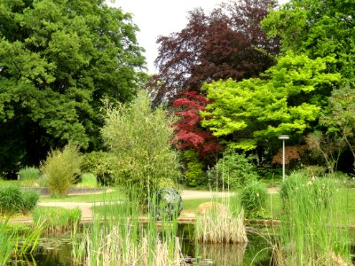 Botanischer Garten Freiburg - DSC06404