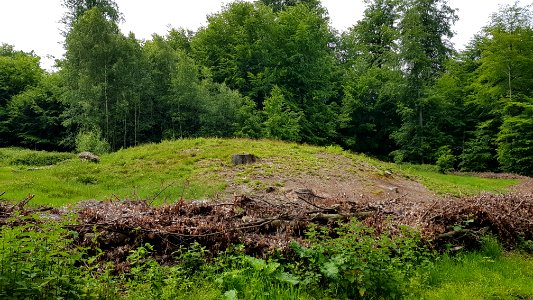 Bosvoorde-grafheuvels Zoniënwoud (5)