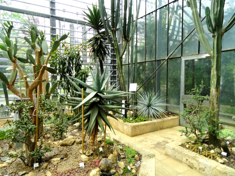 Botanischer Garten Freiburg - DSC06324