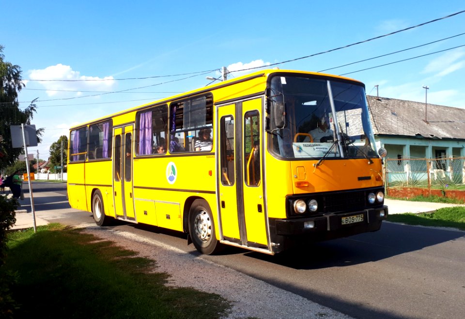 BOS-775 Ikarus 256 in Köröm