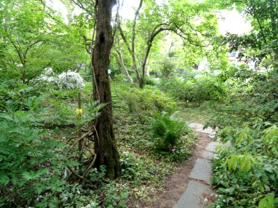 Botanischer Garten Freiburg - DSC06371