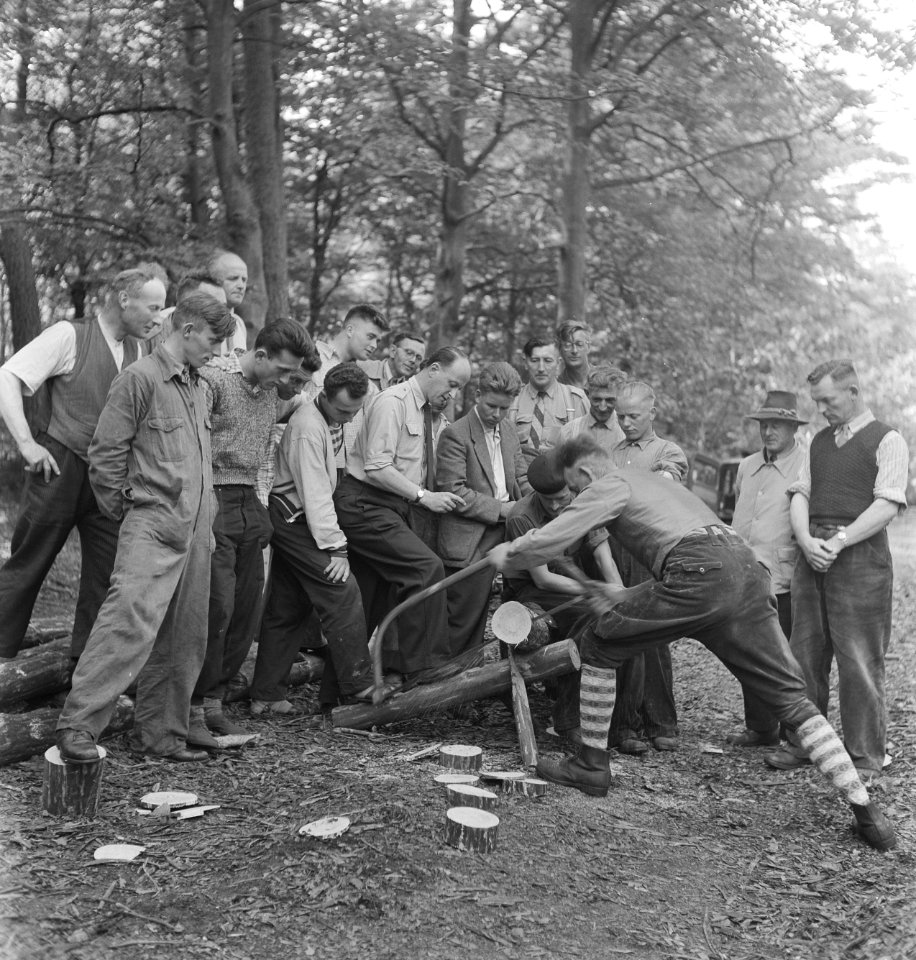 Bosarbeiders bezig met het verzagen van een boomstam onder grote belangstelling , Bestanddeelnr 251-8197