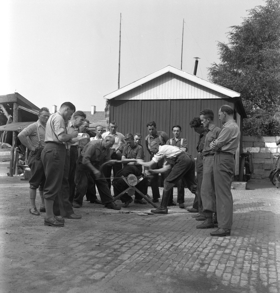Bosarbeiders bezig met het verzagen van een boomstam onder grote belangstelling , Bestanddeelnr 251-8230