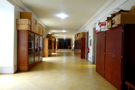 Botanical specimen cabinets - Colégio de São Bento - University of Coimbra - Coimbra, Portugal - DSC09031