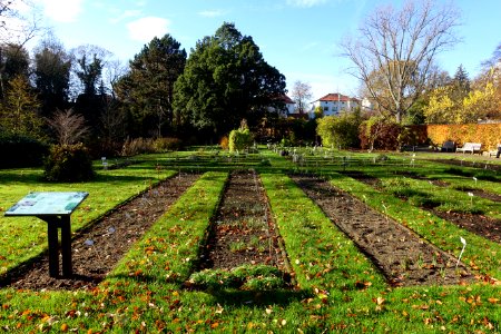 Botanischer Garten Braunschweig - Braunschweig, Germany - DSC04391