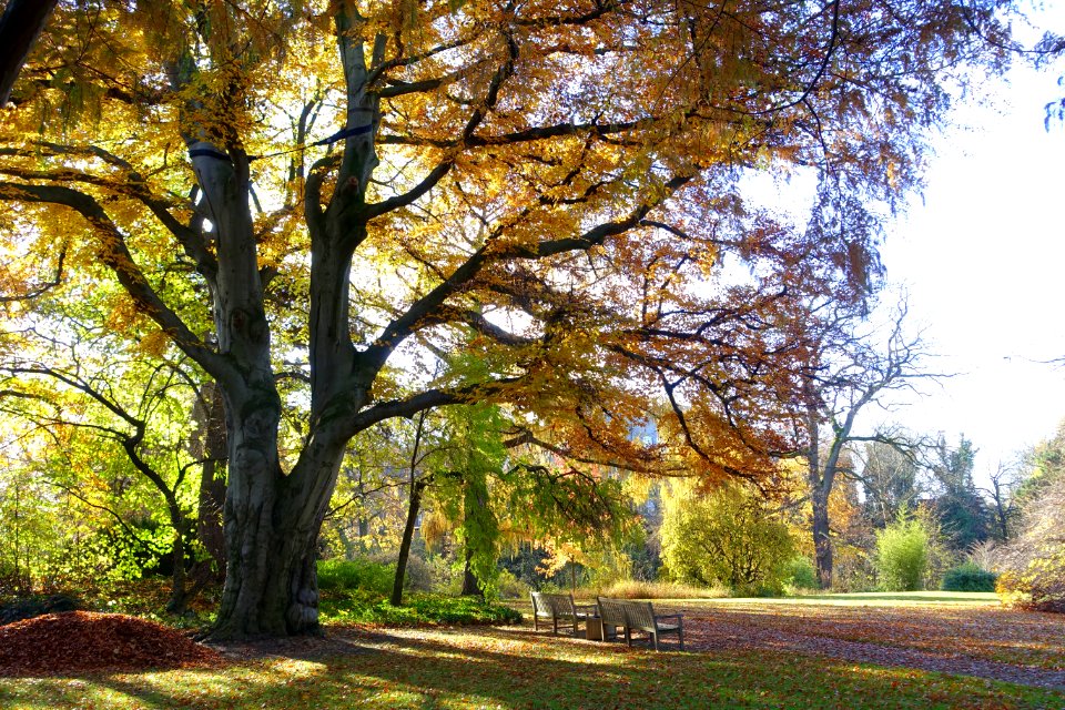 Botanischer Garten Braunschweig - Braunschweig, Germany - DSC04359