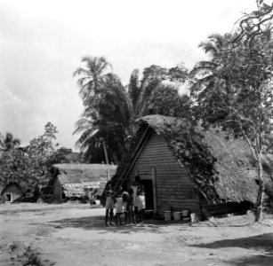 Boslandcreolen voor een hut in Ganzee, Bestanddeelnr 252-5866