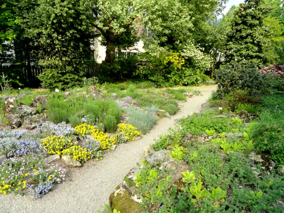 Botanischer Garten Freiburg - DSC06442