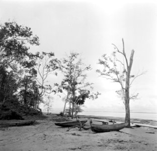 Boten aan het strand van Nickerie, Bestanddeelnr 252-5586