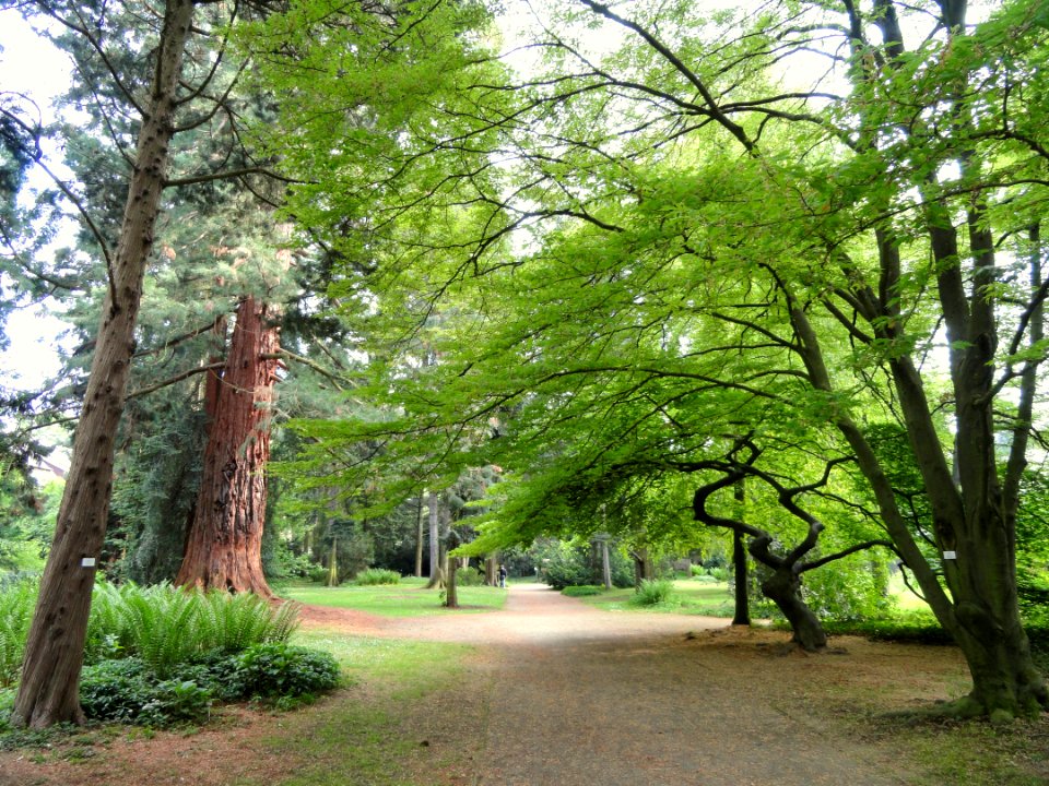 Botanischer Garten Freiburg - DSC06465