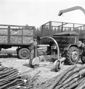 Bosbewerking, boomstammen, landbouwmachines, werktuigen, Tractors, Bestanddeelnr 253-6031