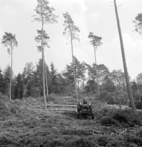 Bosbewerking, boomstammen, machines, werktuigen, arbeiders, Bestanddeelnr 253-5504