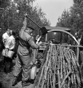 Bosbewerking, boomstammen, machines, werktuigen, Bestanddeelnr 253-6027