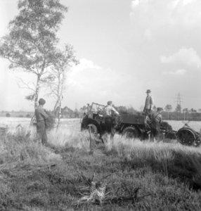 Bosbewerking, arbeiders, struiken, werkzaamheden, Bestanddeelnr 251-9199