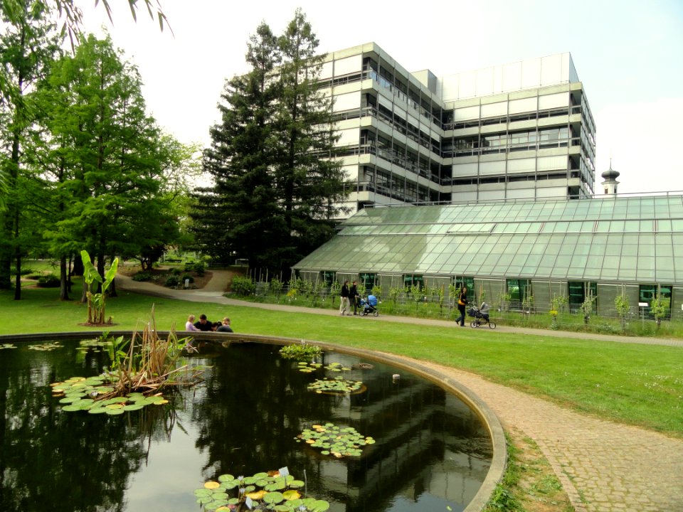 Botanischer Garten Freiburg - DSC06403