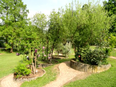 Botanischer Garten Freiburg - DSC06399