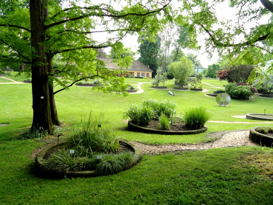 Botanischer Garten Freiburg - DSC06393