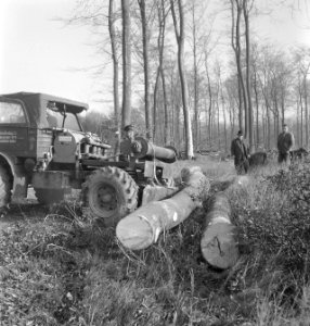Bosbewerking, boomstammen, machines, werktuigen, Bestanddeelnr 251-9029