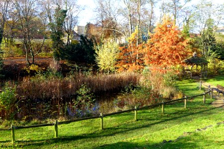 Botanischer Garten Braunschweig - Braunschweig, Germany - DSC04308