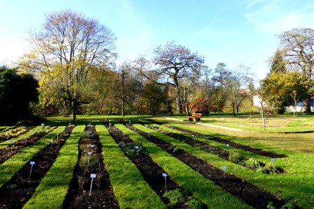 Botanischer Garten Braunschweig - Braunschweig, Germany - DSC04320