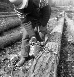 Bosbewerking, boomstammen, kabels, sloten, arbeiders, Bestanddeelnr 253-6139
