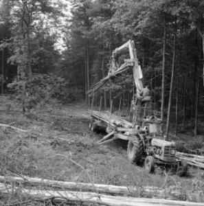 Bosbewerking, boomstammen, landbouwmachines, werktuigen, Tractors, Bestanddeelnr 253-5210