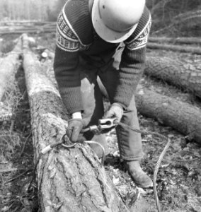 Bosbewerking, boomstammen, kabels, sloten, arbeiders, Bestanddeelnr 253-6138