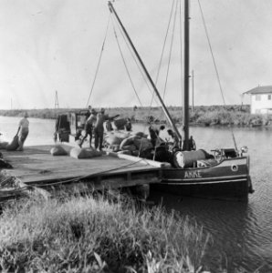 Boten, mannen, Bestanddeelnr 250-8360