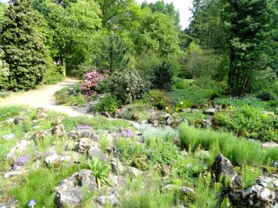 Botanischer Garten Freiburg - DSC06440