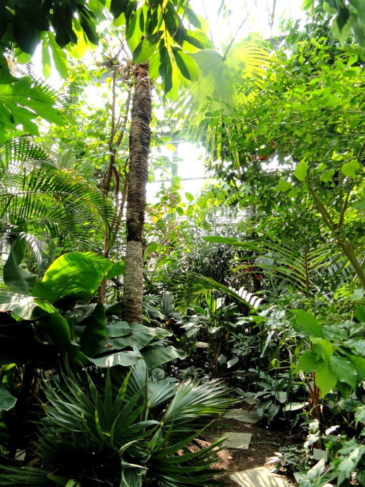 Botanischer Garten Freiburg - DSC06358