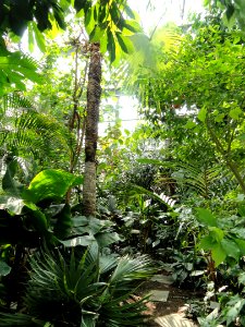 Botanischer Garten Freiburg - DSC06358