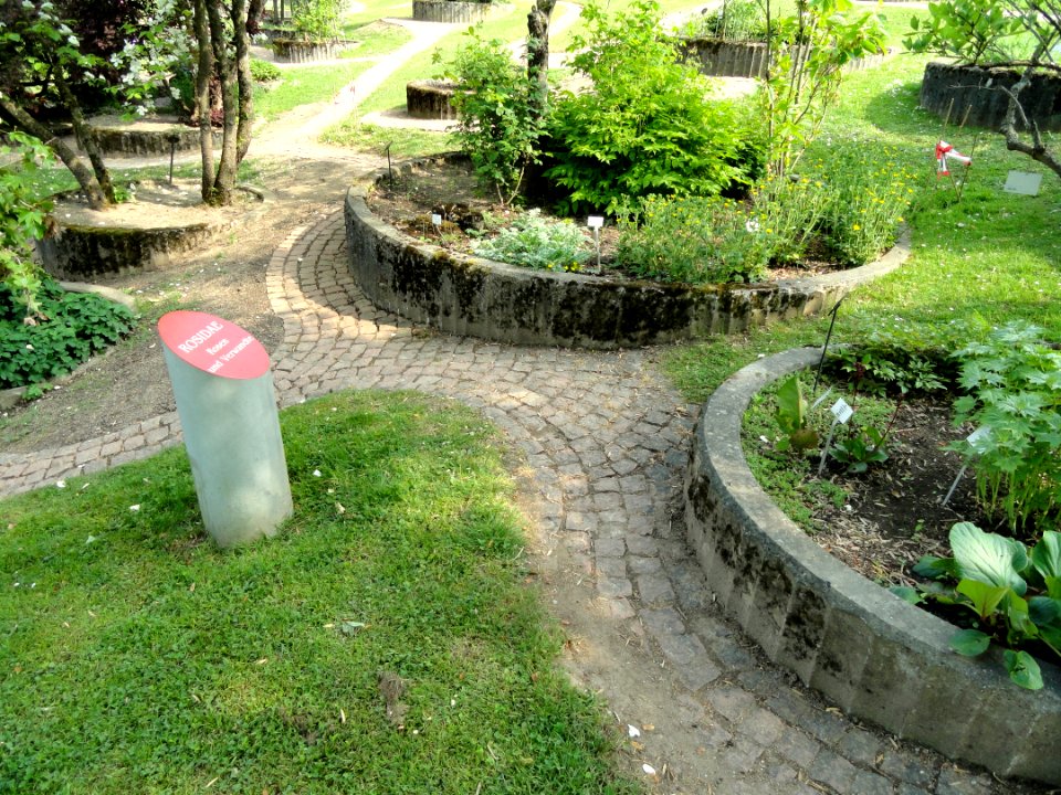 Botanischer Garten Freiburg - DSC06397