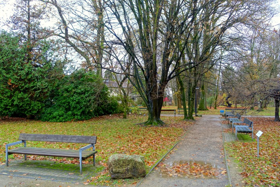 Botanischer Garten - Heidelberg, Germany - DSC00877
