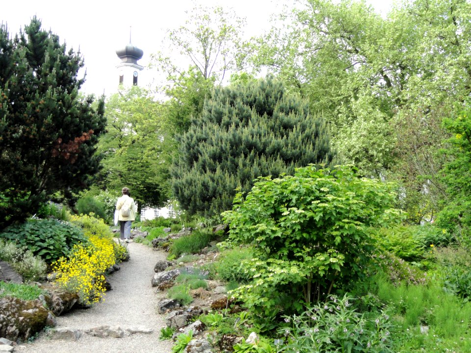 Botanischer Garten Freiburg - DSC06411