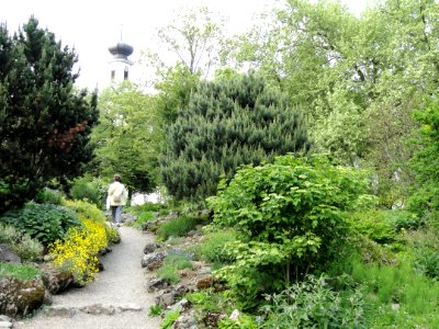 Botanischer Garten Freiburg - DSC06411