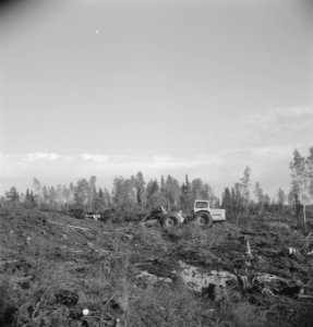 Bosbewerking, arbeiders, machines, werktuigen, voertuigen, overzichten, Bestanddeelnr 253-5316