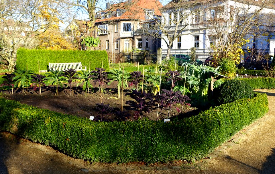 Botanischer Garten Braunschweig - Braunschweig, Germany - DSC04325