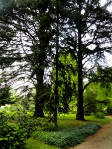 Botanischer Garten Freiburg - DSC06470