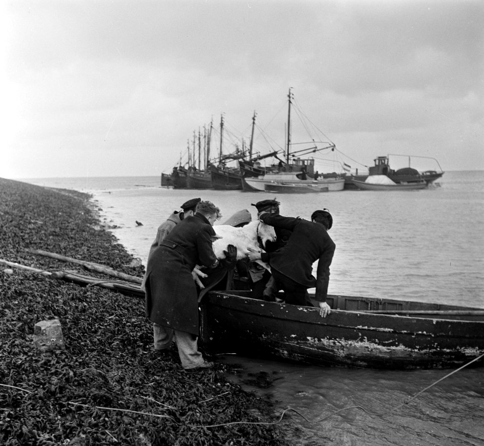 Boten, Bestanddeelnr 905-5321